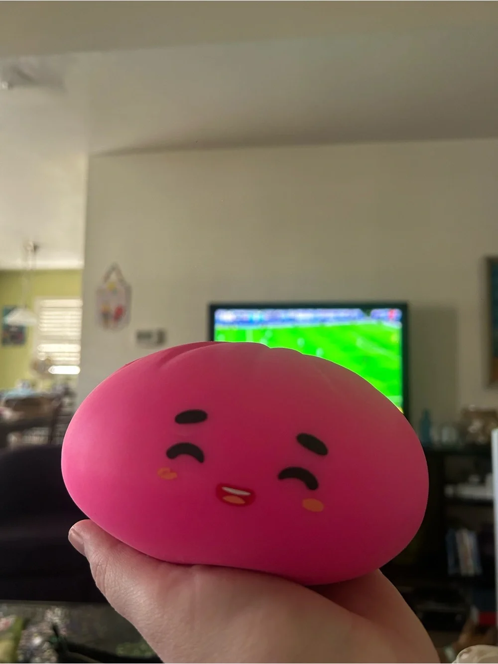 Your Favorite Baobun Pink Squeeze Toy